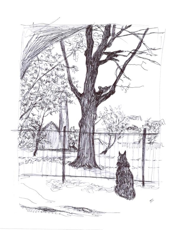 Dogs of Manayunk illustration 10
