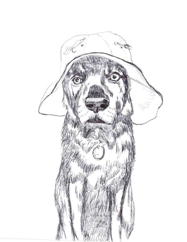 Sunny hat  Shepherd