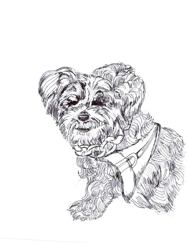 Dogs of Fishtown illustration 9