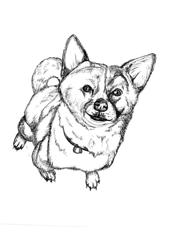 Dogs of Manayunk illustration 2