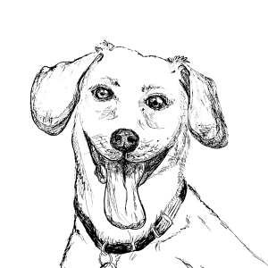Dogs of Manayunk illustration 55