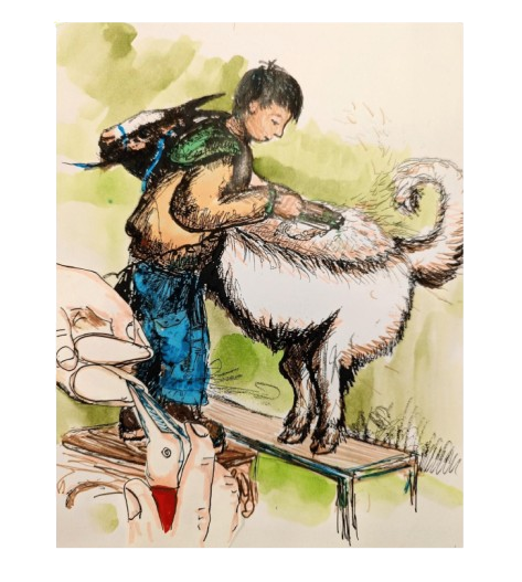 The_A_and_E_Stock_Club__1_-66-removebg-preview