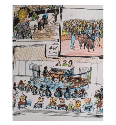 The_A_and_E_Stock_Club__1_-74-removebg-preview